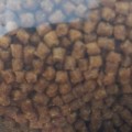 Dynamite Carp Pellets