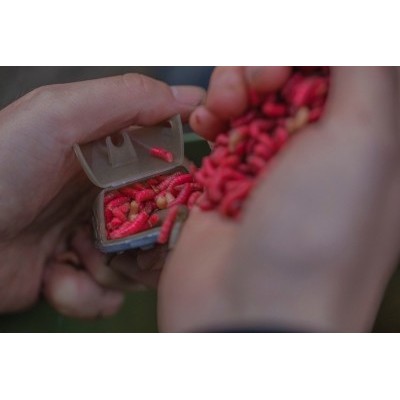 Guru Multi Maggot Feeder