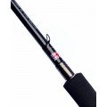 Daiwa Airity X45 Match Rod (BU)
