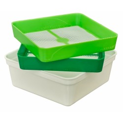 Small- shallow box