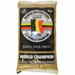 VDE World Champion (1kilo)