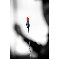 Guru XS Cookie Carbon