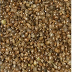 Blakes Standard Hempseed 900gr