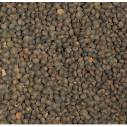 Blakes Tares 900gr