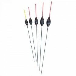 Preston Colours Blue