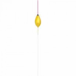 Sensas Brive Pole Float