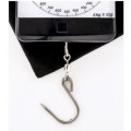 Reuben Heaton Flyweight MK2 3000 Scales