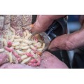 Preston Clik Cap Feeder Preston Clik Cap Feeder